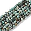 Natural African Turquoise(Jasper) Beads Strands G-N342-29B-1