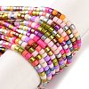 Handmade Czech Lampwork Beads Strands LAMP-L078-008K-1