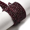 Natural Garnet Beads Strands X-G-I341-09B-01-5