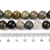 Natural Picture Jasper Beads Strands G-H037-A01-03-5