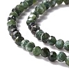 Natural Seraphinite Beads Strands G-A021-07B-4