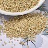 MIYUKI Delica Beads SEED-X0054-DB1571-1