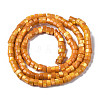 Natural Trochus Shell Beads Strands SHEL-S278-027F-2