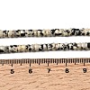 Natural Dalmatian Jasper Heishi Beads Strands G-A299-A12-01-5