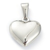 304 Stainless Steel Pendants LS-STAS-P278-01C-P-2