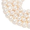 Natural Cultured Freshwater Pearl Beads Strands PEAR-L034-10B-3