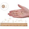 304 Stainless Steel Leverback Earring Findings STAS-PH0018-28G-3