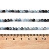 Natural Devil Blue Aquamarine Beads Strands G-K376-A06-4mm-5