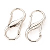 Zinc Alloy DIY Bags Adjustable Clasps Accessories PALLOY-A068-06S-1