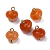 Natural White Jade Dyed Saucer Charms with Rack Plating Golden Tone Brass Bails KK-B103-17B-05-1