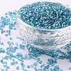 11/0 Two Cut Glass Seed Beads CSDB23-1