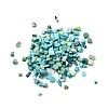 Dyed & Heated Natural Magnesite Chip Beads G-L453-01-3