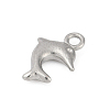 304 Stainless Steel Charms STAS-E500-13P-01-2