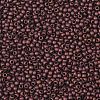 TOHO Round Seed Beads X-SEED-TR11-0222F-2