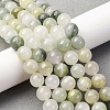 Natural Gemstone Beads Strands G-F808-C02-10mm-1