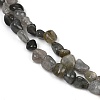 Natural Labradorite Beads Strands G-Q060-D02-4