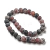 Natural Weathered Agate Beads Strands G-P538-A01-01-3