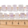 Natural Amethyst Beads Strands G-G053-B13-01B-5