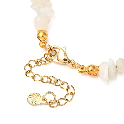 Natural Moonstone Chips & Starfish Synthetic Turquoise & Shell Pearl Beads Bracelets BJEW-JB12413-01-1