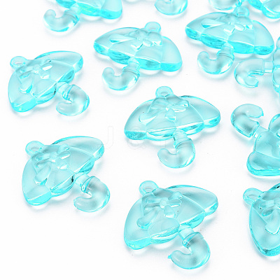 Transparent Acrylic Pendants TACR-T024-01B-946-1