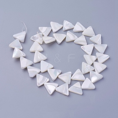 Shell Beads Strands SSHEL-E571-28A-1