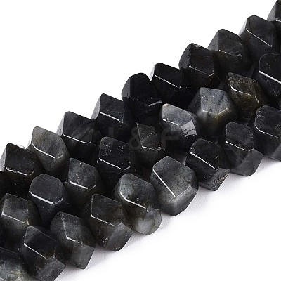 Natural Larvikite Beads Strands G-N327-05-28-1