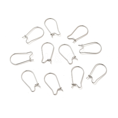 Tarnish Resistant 316 Surgical Stainless Steel Hoop Earrings Findings Kidney Ear Wires X-STAS-E009-6-1