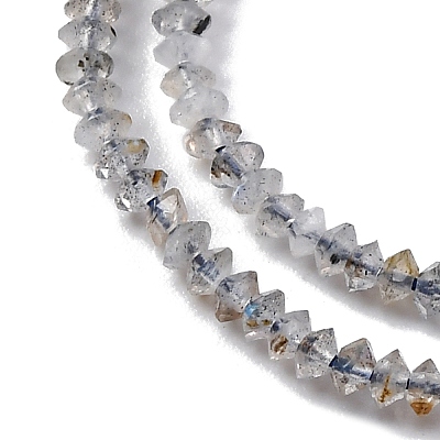 Natural Labradorite Beads Strands G-G188-A01-01-1