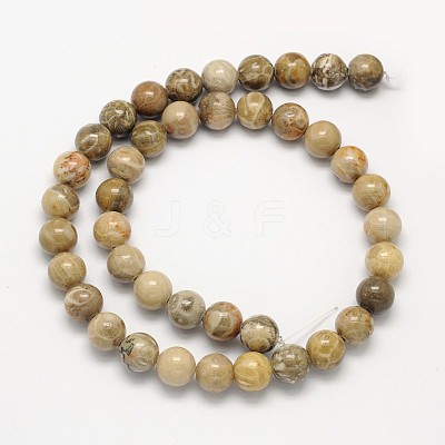 Natural Fossil Coral Round Bead Strands G-N0166-05-8mm-1
