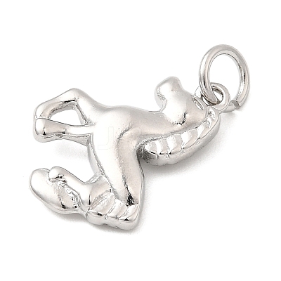 Brass Charms KK-I364-02P-06-1