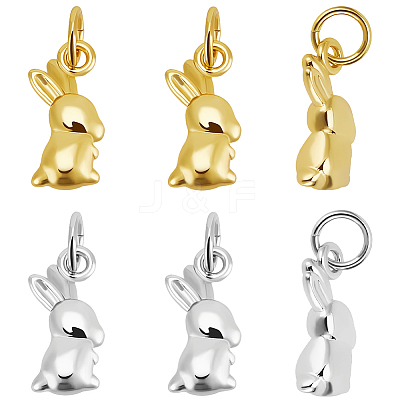 12Pcs 2 Colors Brass Charms KK-BBC0017-98-1