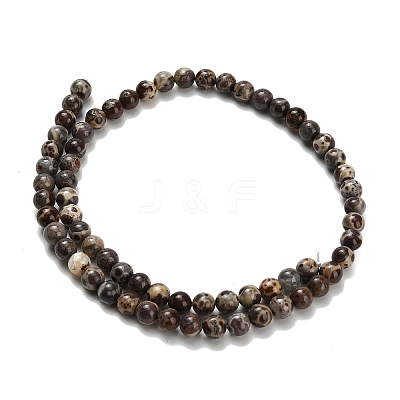 Natural Astroite Jasper Beads Strands G-H329-C02-6mm-1