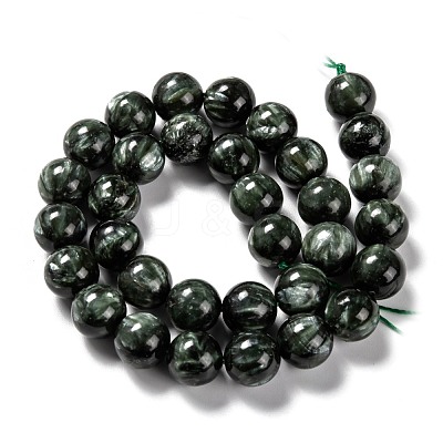 Natural Seraphinite Beads Strands G-E557-22C-1