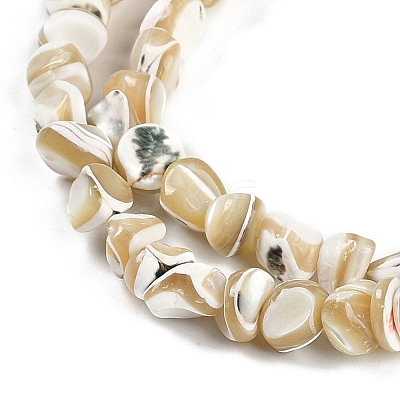 Natural Trochus Shell Beads Strands BSHE-H109-10-1