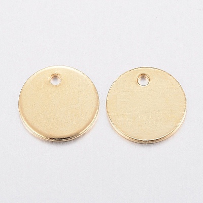 304 Stainless Steel Charms STAS-H436-66-6mm-1