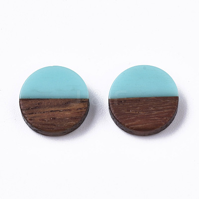 Resin & Wood Cabochons X-RESI-S358-70-H11-1