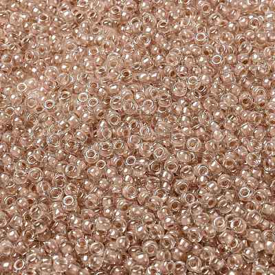 MIYUKI Round Rocailles Beads SEED-JP0009-RRHB279-1