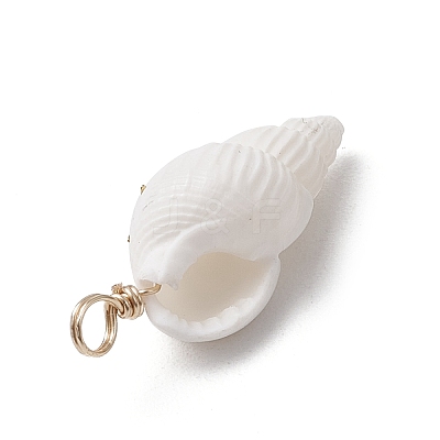 6Pcs 6 Styles Natural Shell Pendants PALLOY-JF03882-1