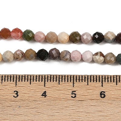 Natural Alashan Agate Beads Strands G-C181-B05-03-1