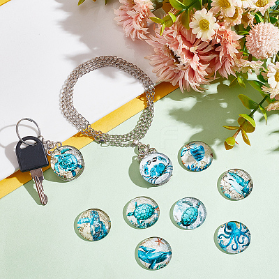 Glass Cabochons GLAA-NB0001-67C-1