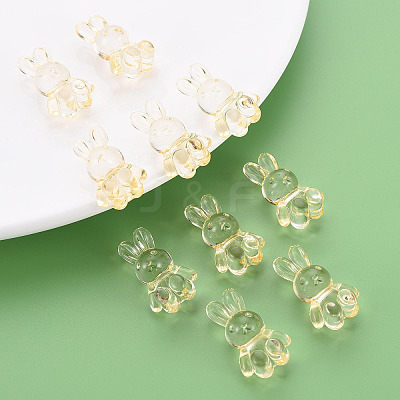 Transparent Acrylic Beads LS-MACR-S373-81-B04-1
