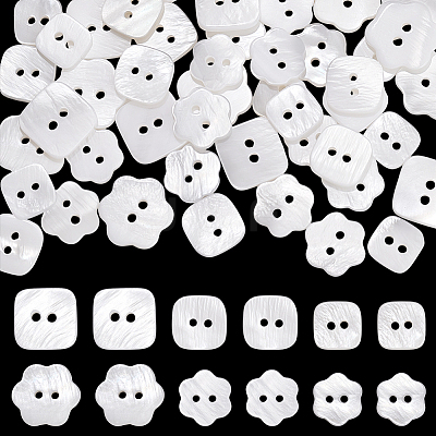 60Pcs 6 Styles 2-Hole Natural Shell Buttons BUTT-PH0001-48-1