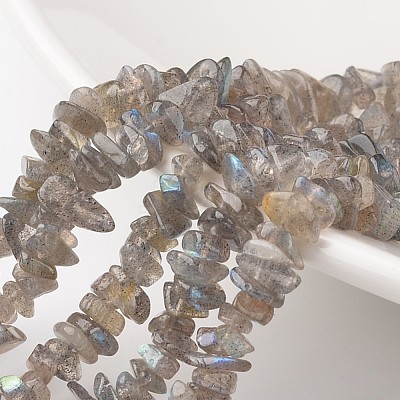 Chip Natural Labradorite Bead Strands G-M349-11-1