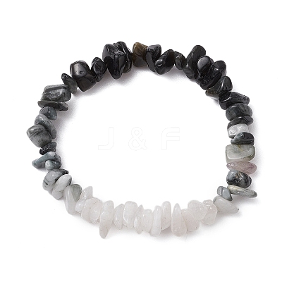 Natural Eagle Eye Stone Chips Beaded Stretch Bracelets for Women BJEW-TA00557-05-1