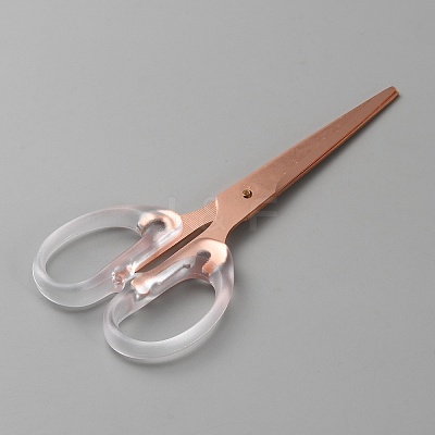 Stainless Steel Scissors AJEW-WH0475-26RG-1