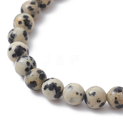 Natural Dalmatian Jasper Round Beaded Stretch Bracelets BJEW-JB09727-02-1