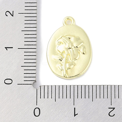 Rack Plating Spray Painted Alloy Pendants PALLOY-F018-14G-01-1