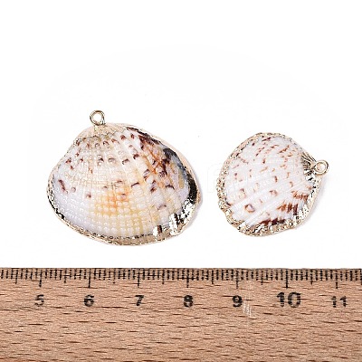 Electroplate Natural Sea Shell Pendants SSHEL-Q100-17KCG-1