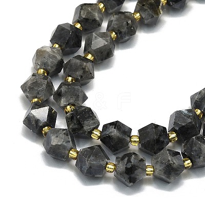 Natural Larvikite Beads Strand G-I376-A13-01-1