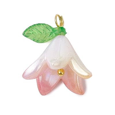 Opaque Acrylic Pendants PALLOY-JF03267-1